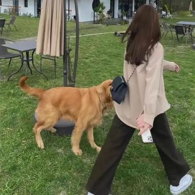 宝贝的爱
